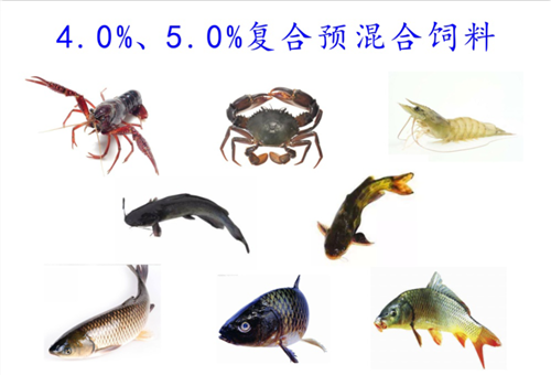 4.0%、5.0%鱼用复合预混料