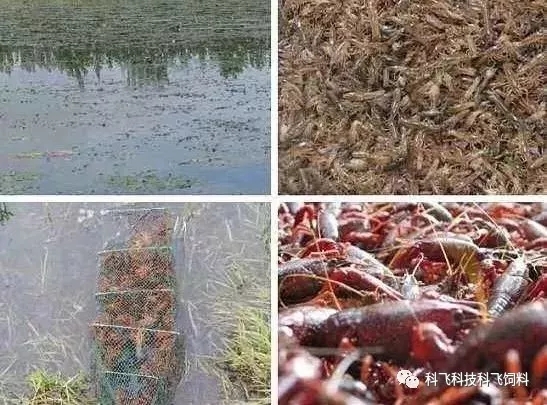 640.webp (1).jpg