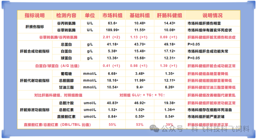 974aa2f3-328f-4969-bc0c-84880abe87dd.png